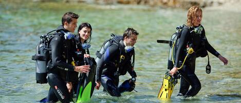 Un grupo de personas con trajes de neopreno y equipo de buceo cerca de la orilla.