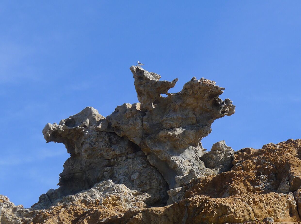 Photo - Hotel La Residencia