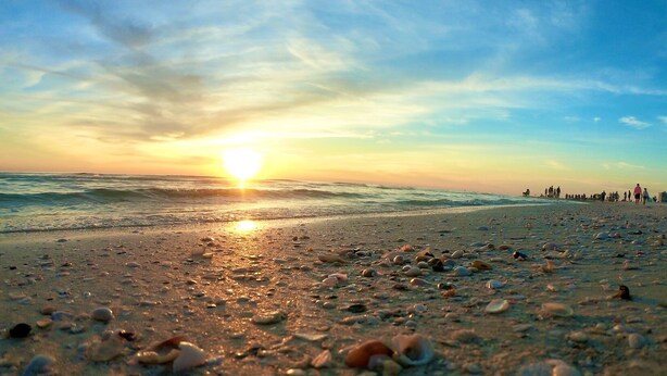 A beach with scattered shells and a sunset in the background.