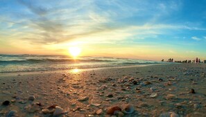 Una playa con conchas dispersas y una puesta de sol al fondo.