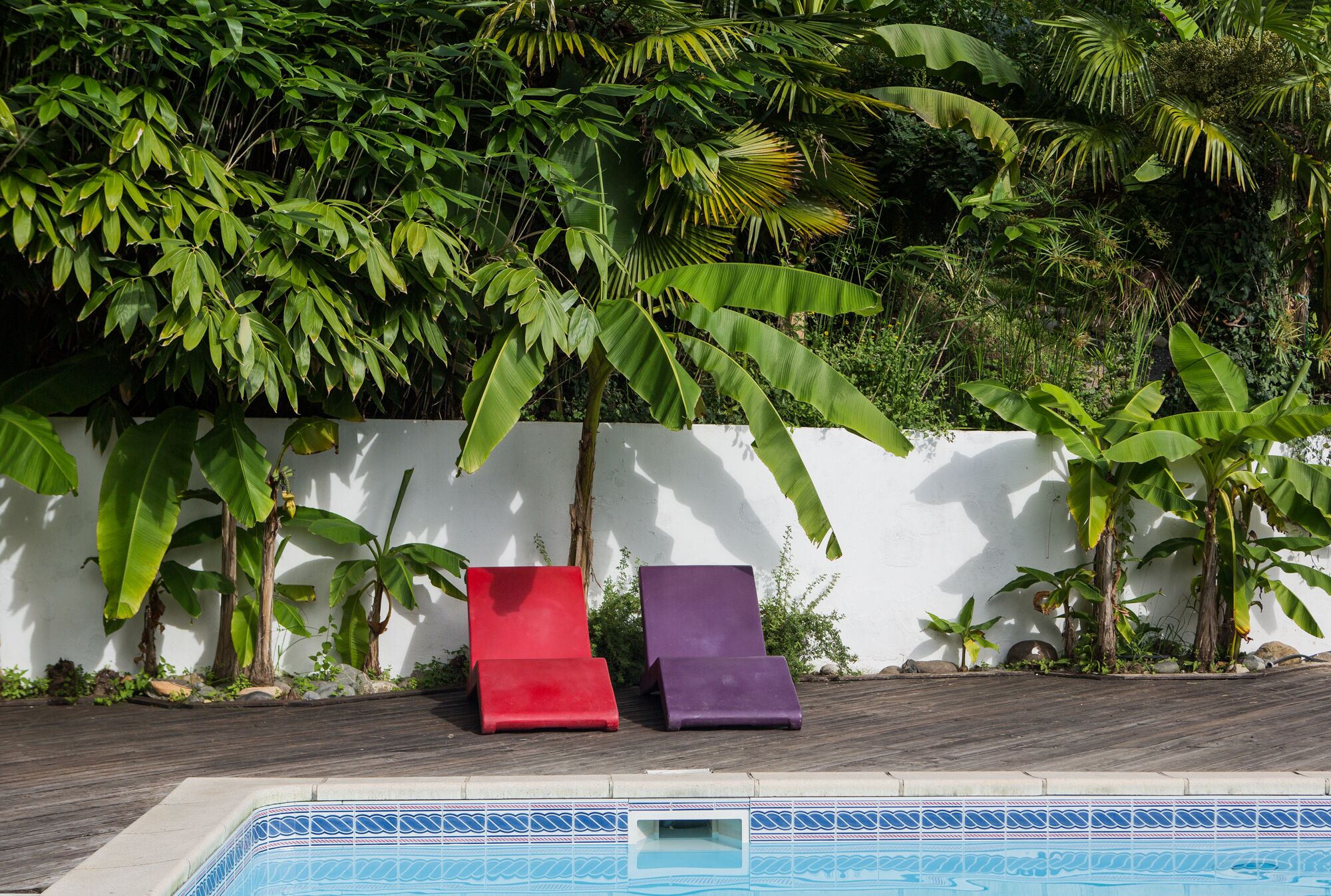 Un área de piscina con dos sillones, una pared blanca y abundante vegetación.
