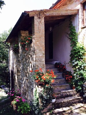 Property grounds - Peaceful cottage in Tuscany with private pool (Castelnuovo di Val di Cecina)