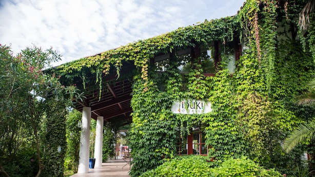 Un bâtiment recouvert de lierre, sur lequel on peut lire l’inscription « IUKI OTSUZU ».