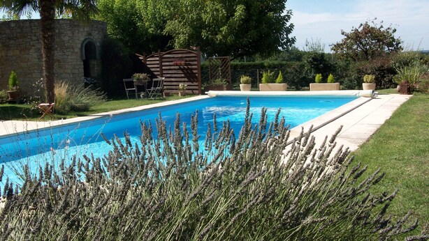 Una piscina rectangular con un muro de piedra en un lado y una terraza de madera en el otro. Hay sillas y una mesa bajo una pérgola, rodeado de diversas plantas y árboles.