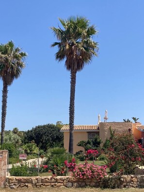 Property grounds - Villa Flamingos 100 meters from the sea (Villasimius)