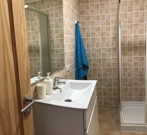 Shower, hair dryer, bidet, towels