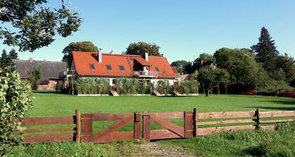 Right on the lake! - plenty of space for family & friends - modern & exclusive