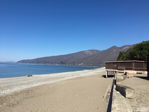 ビーチ