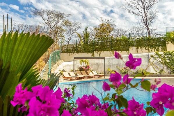 Un espace piscine agrémenté de chaises longues et d’une pergola, le tout entouré de verdure et de plantes fleuries.