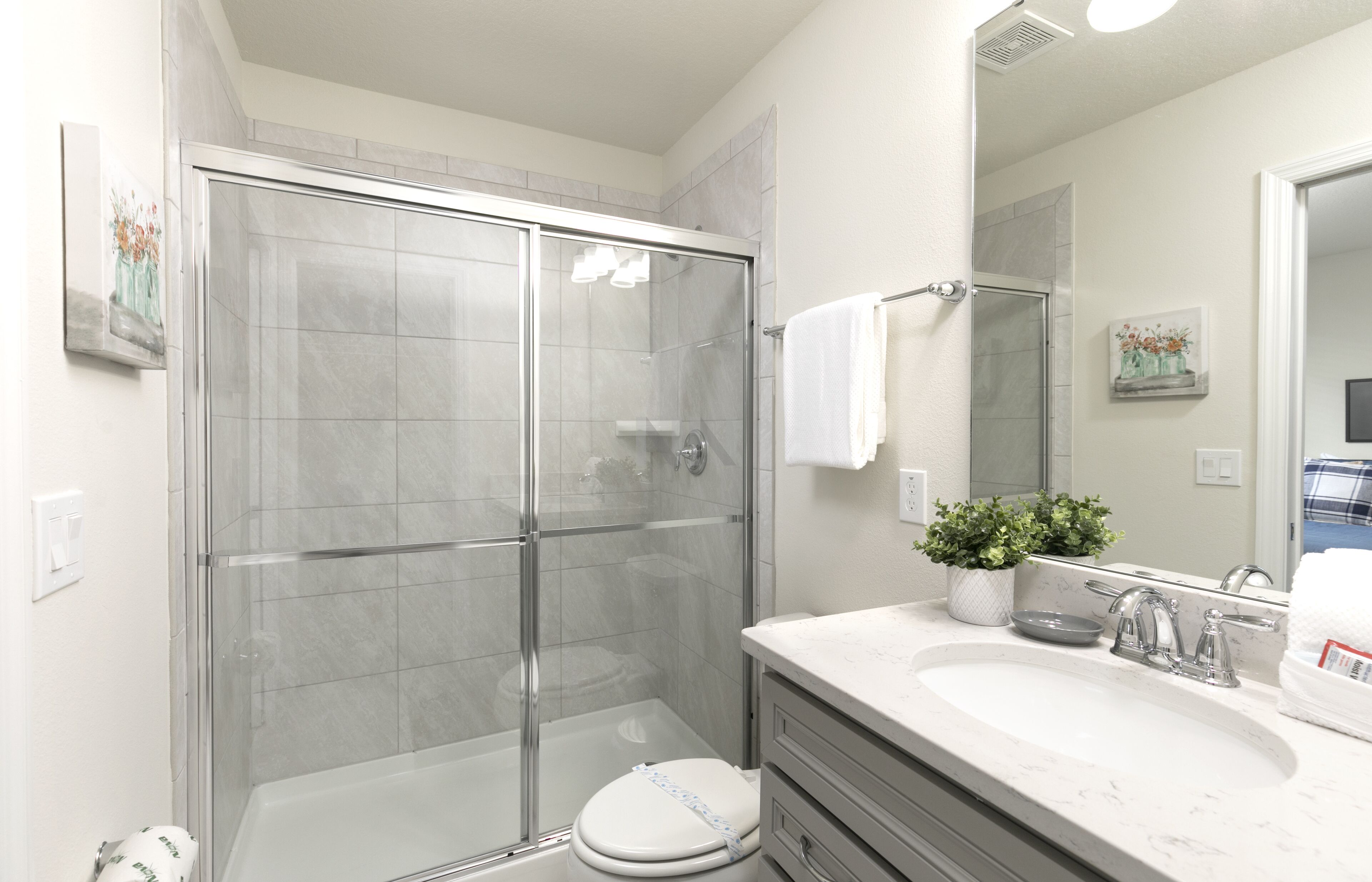 A modern bathroom with a glass-enclosed shower, a white toilet, a sink with a mirror, and a small potted plant.