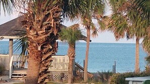A coastal scene with a wooden structure, palm trees, and a view of the sea.