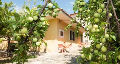 Nel Giardino Dei Limoni