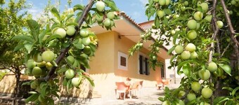 Nel Giardino Dei Limoni