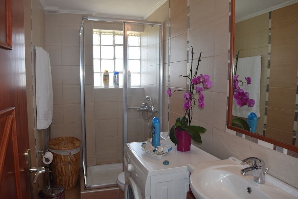 A bathroom with a shower, sink, and mirror. There is a basket and a plant on the counter.