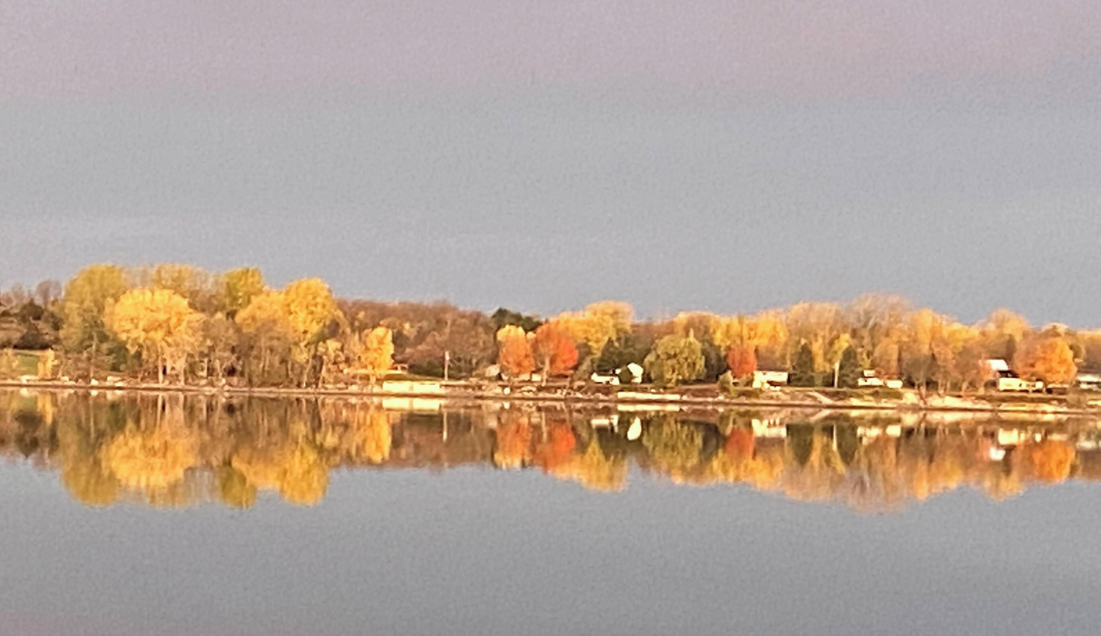 A calm lake with trees reflecting on the water, a clear sky, and a distant shoreline with buildings.