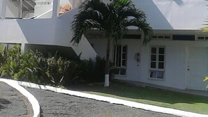 Un edificio blanco con techo plano, múltiples ventanas y una palmera en el jardín delantero.