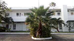 Un edificio con fachada blanca, varias ventanas y una palmera en una maceta.