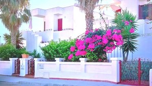 A white building with a balcony, a palm tree, and pink flowers. - A few steps from the crystal clear sea of Puglia (Lido Marini)