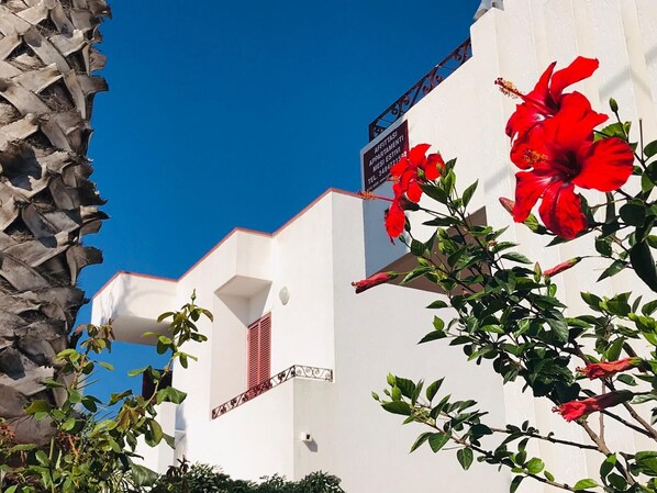 Un edificio bianco con un cartello che indica che si tratta di un appartamento in affitto.
