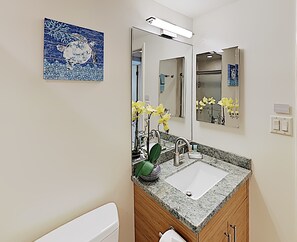 Combined shower/tub, hair dryer, towels - PRESTINE*CHIC*Beachy & Fully Remodeled & Oceanfront (Kihei)