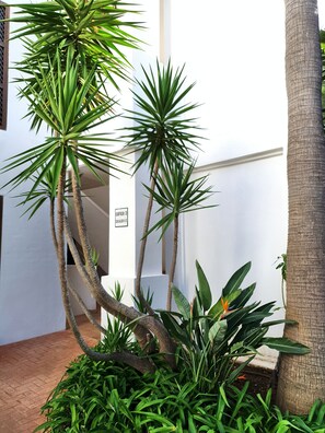 Exterior detail - Corner 3 bedroom apartment with garden in Finca Cortesin (Casares) (Casares)