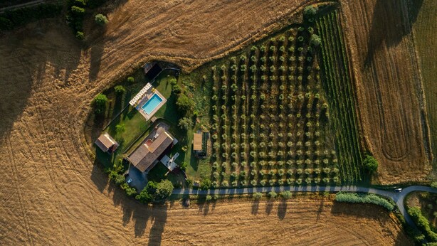 An aerial view of a vineyard with rows of grapevines, a swimming pool, and several buildings. - Apartment I Reucci Trilo5 (Pomarance)