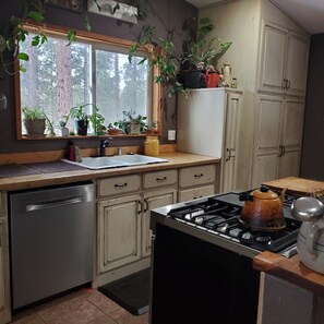 Fridge, oven, stovetop, dishwasher