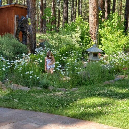 Lost Sierra Mountain Home