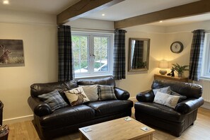 TV, fireplace - Barn Cottage, Minehead (Minehead)