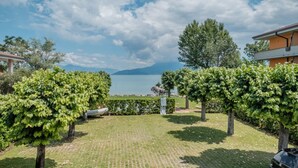 A vineyard with rows of grapevines, a paved area, and a view of a lake and mountains in the background.