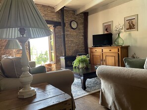 Una televisión, una chimenea, un reproductor de DVD, libros