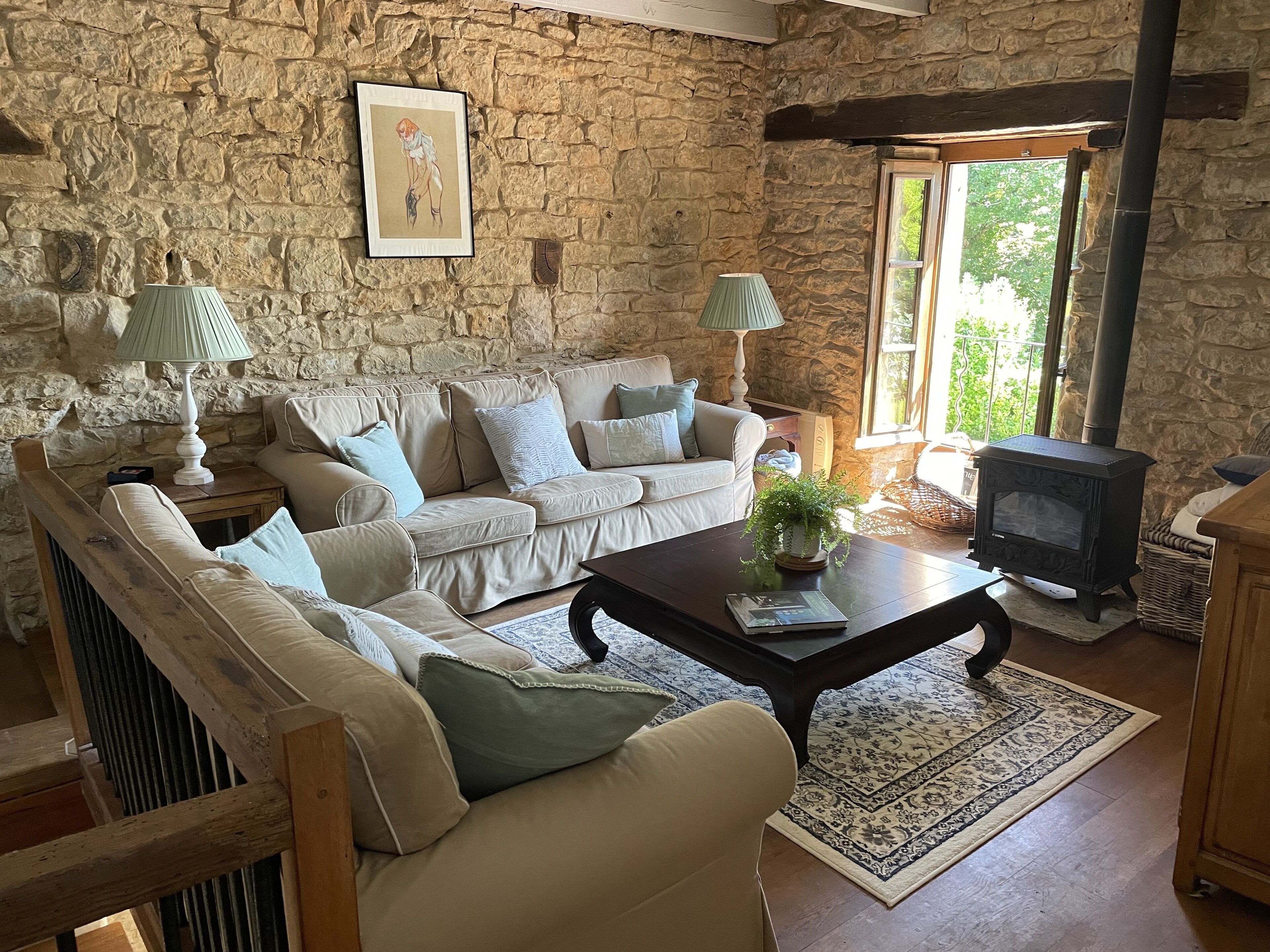 Télévision, cheminée, lecteur de DVD, livres