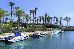 Marina