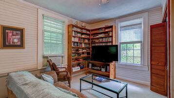 Televisión, chimenea, videojuegos y reproductor de DVD