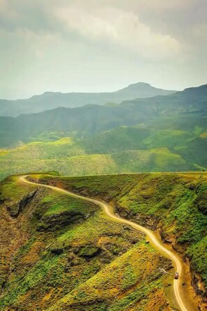Escritorio, sistema de insonorización y tabla de planchar con plancha 
