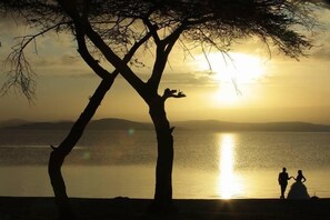 Tetera/pava eléctrica