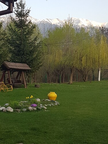 Briza De Munte is the perfect place for your vacation in Bran