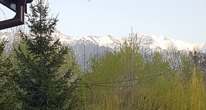 Briza De Munte is the perfect place for your vacation in Bran