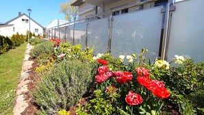 A row of red tulips in front of a building with a glass fence. - Haus Sonne (Mönchgut-Granitz)
