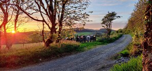 Combined shower/tub, hair dryer, towels
