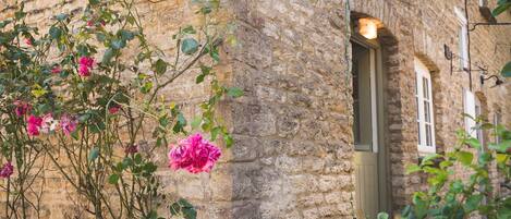 Cottage | Terrein van de accommodatie