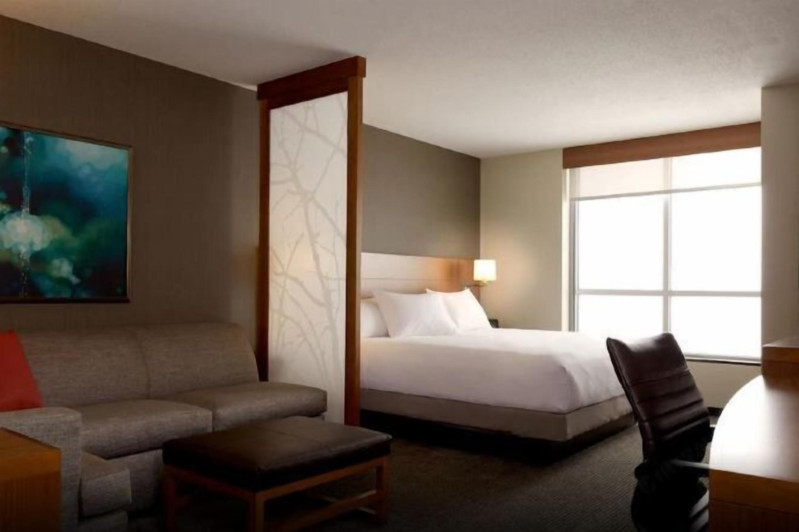 Desk, blackout drapes, soundproofing, iron/ironing board