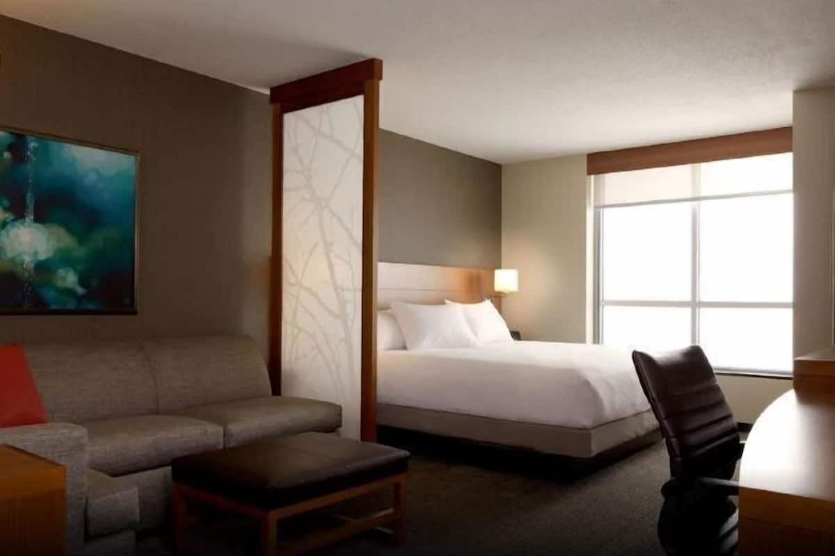 1 bedroom, desk, blackout curtains, soundproofing