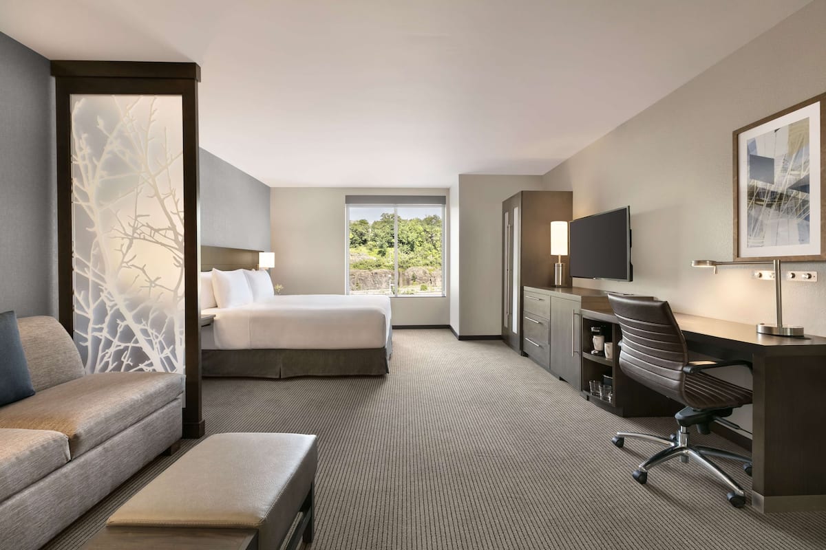 1 King with Sofa bed (Accessible Room with Shower) | 1 bedroom, desk, blackout drapes, soundproofing