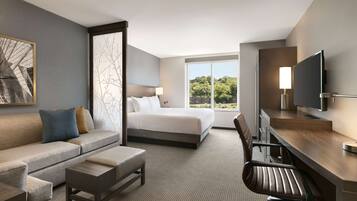 Desk, blackout curtains, soundproofing, iron/ironing board