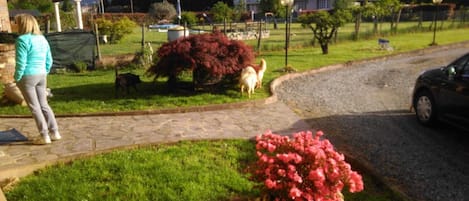 Giardino