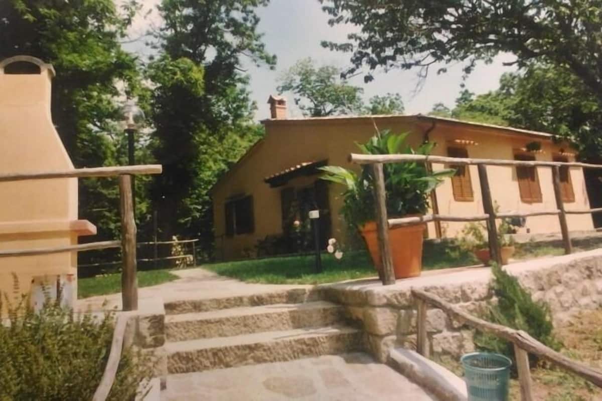 Classic Apartment | Terrace/patio