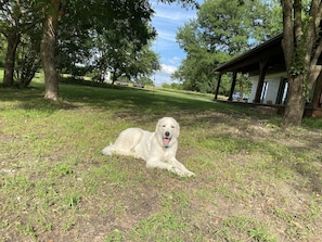 Property grounds - Country Retreat near Dallas: fishing, firepit, fireplace, fall dates available (Rockwall)