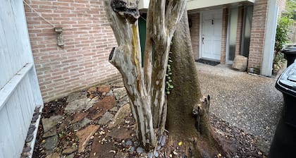 3 BR big back yard for events