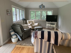 Smart TV, fireplace, books